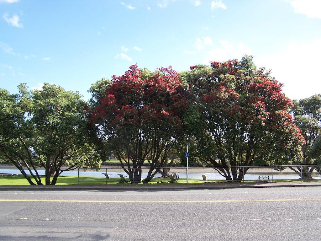 Kauri Nest Acomodação com café da manhã Whangarei Exterior foto