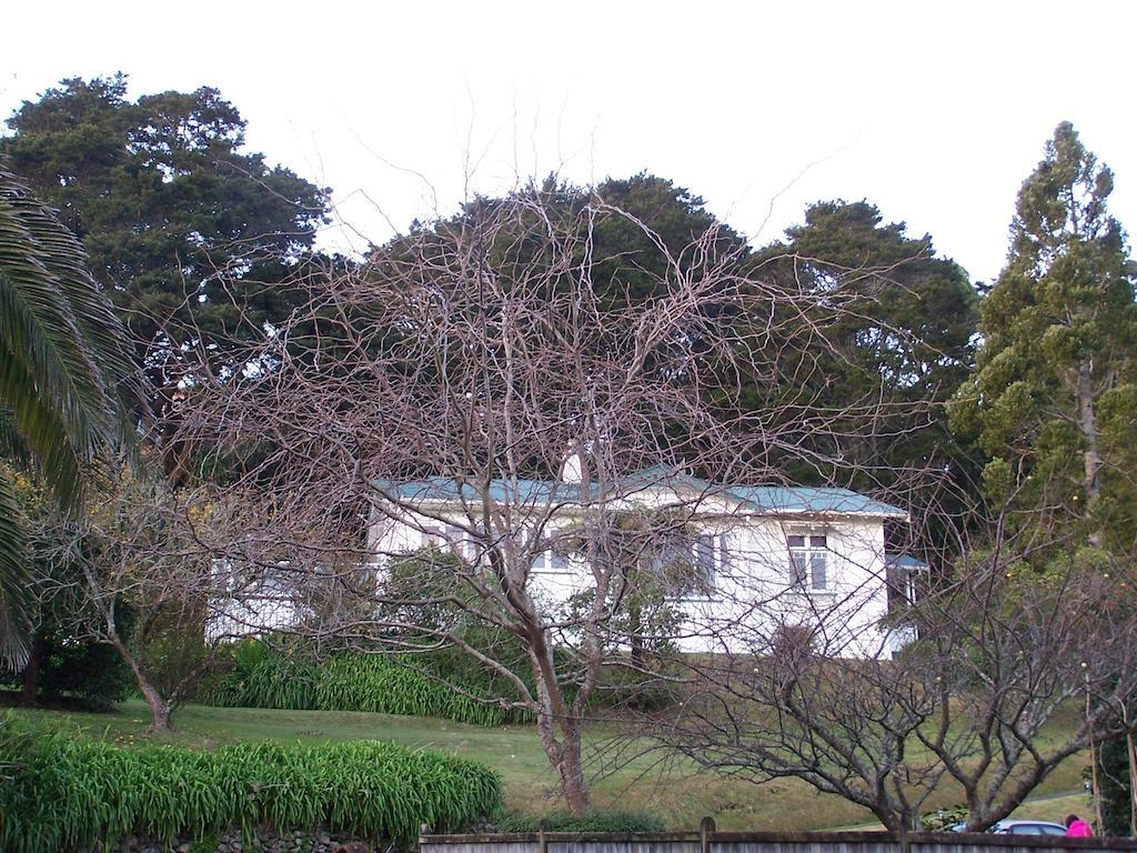 Kauri Nest Acomodação com café da manhã Whangarei Exterior foto