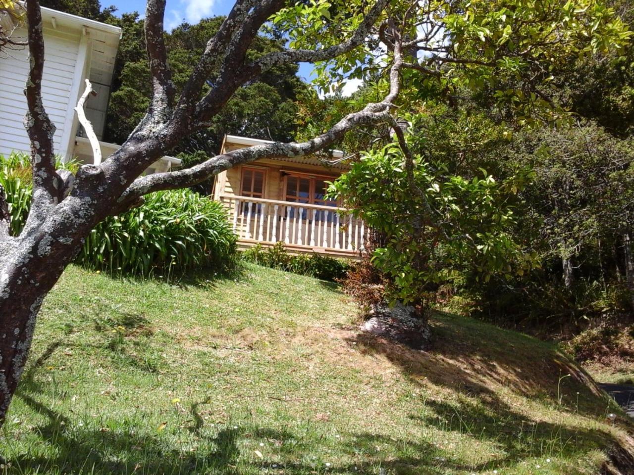 Kauri Nest Acomodação com café da manhã Whangarei Exterior foto