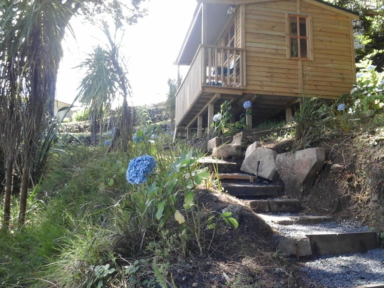 Kauri Nest Acomodação com café da manhã Whangarei Exterior foto