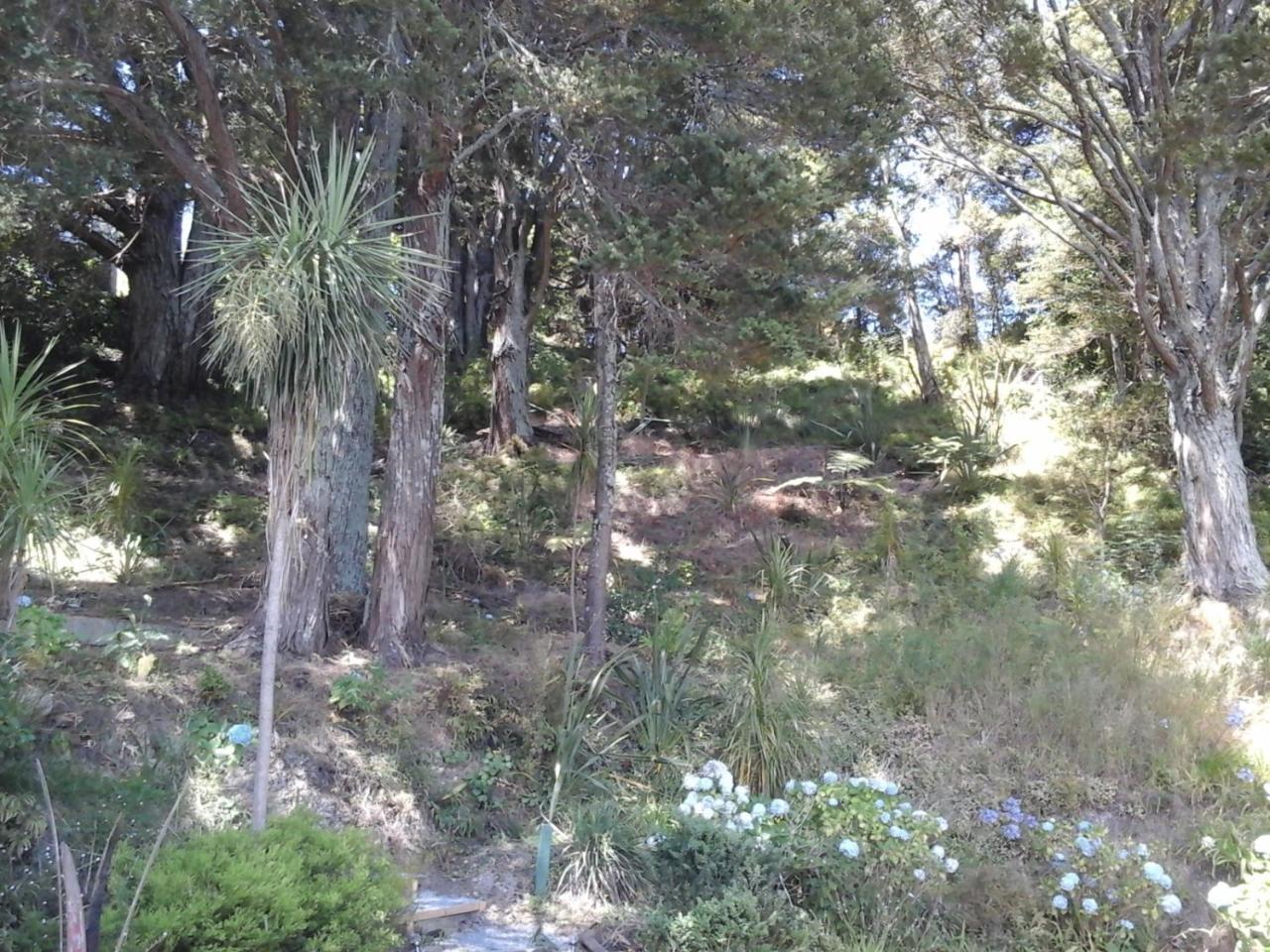 Kauri Nest Acomodação com café da manhã Whangarei Exterior foto