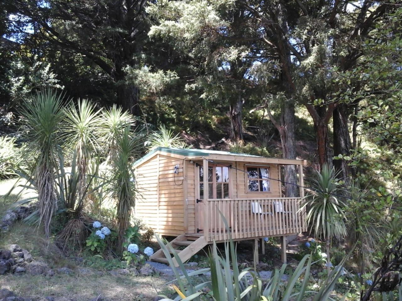 Kauri Nest Acomodação com café da manhã Whangarei Exterior foto